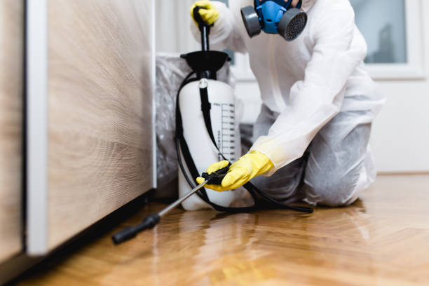 Best Affordable Pest Control Services  in Martsville, IN