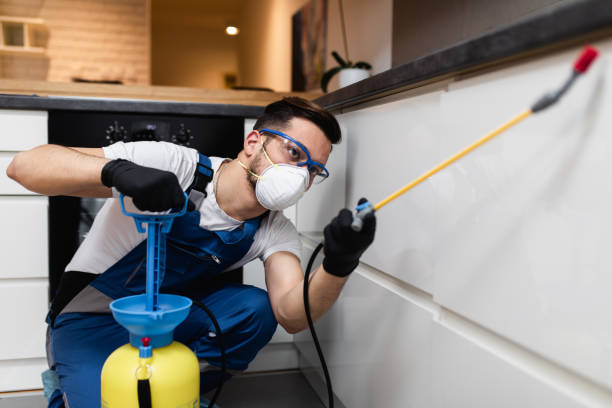 Best Insect Control  in Martsville, IN