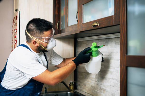 Best Rat Extermination Near Me  in Martsville, IN