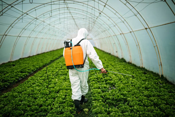 Best Local Pest Control Services  in Martsville, IN