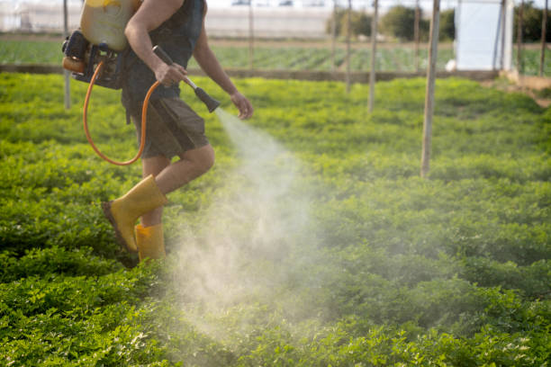 Best Pest Removal Services  in Martsville, IN