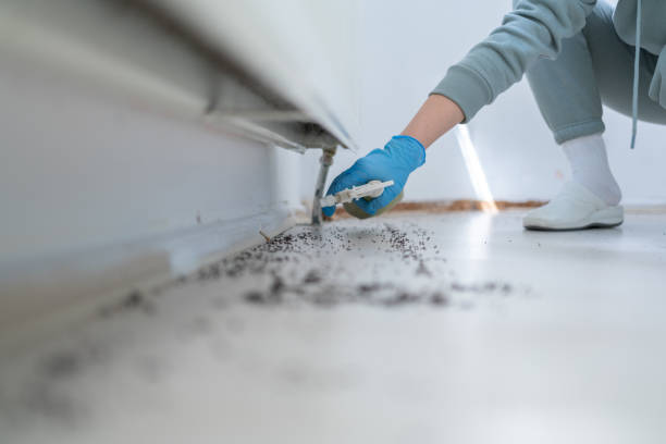 Best Commercial Pest Control Services  in Martsville, IN